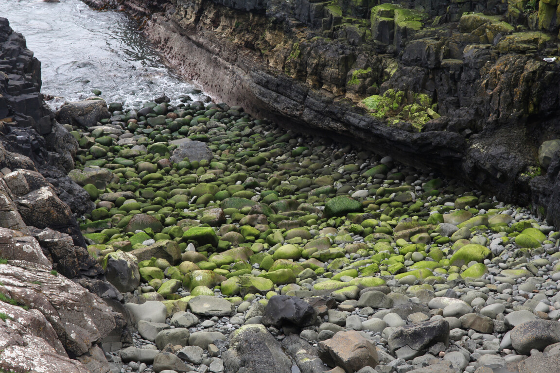 Dunstanburgh Castle, Northumberland